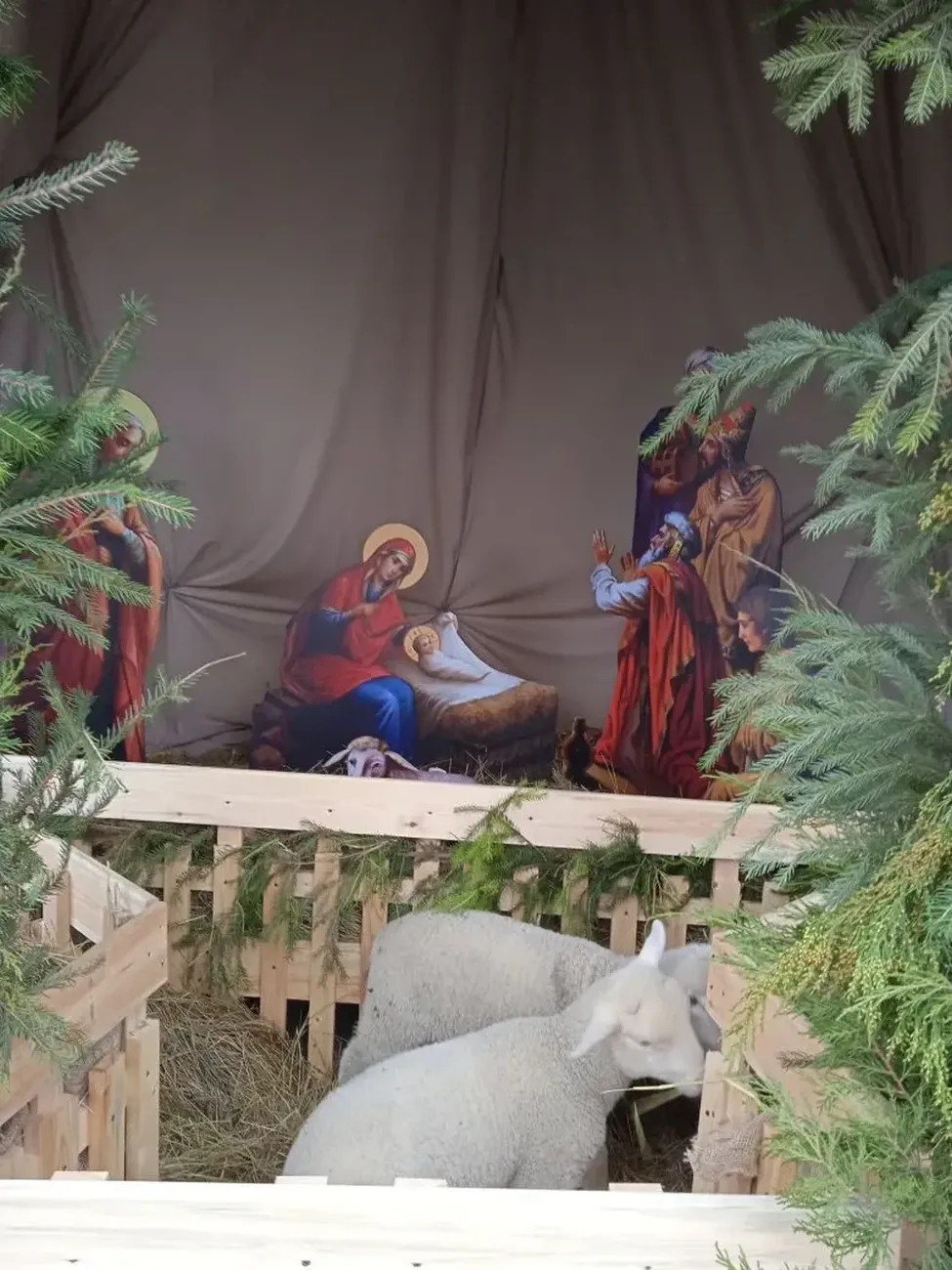 acc66320-0b18-41d5-8102-62052d5a00d8