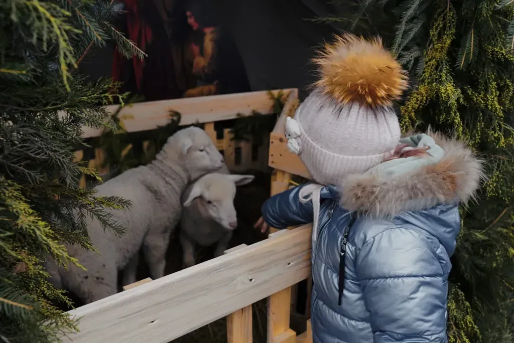 69adc491-c93c-4d95-92ef-d6e14721b959